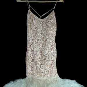 Minuet Petite Pale Peach/Pink Lace And Ostrich Feather Flapper Style Dre…